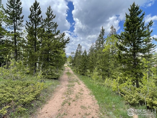 90 Woccon Ct, Red Feather Lakes, CO 80545