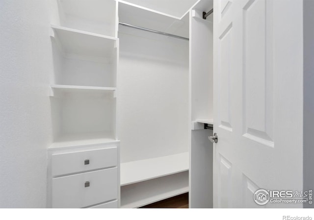 512 E Monroe Dr Unit 329, Fort Collins, CO 80525 - view of spacious closet