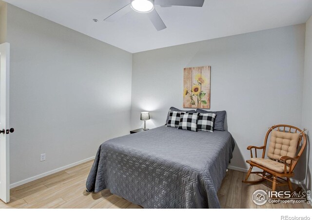 2086 Autumn Moon Dr Unit 7, Windsor, CO 80550