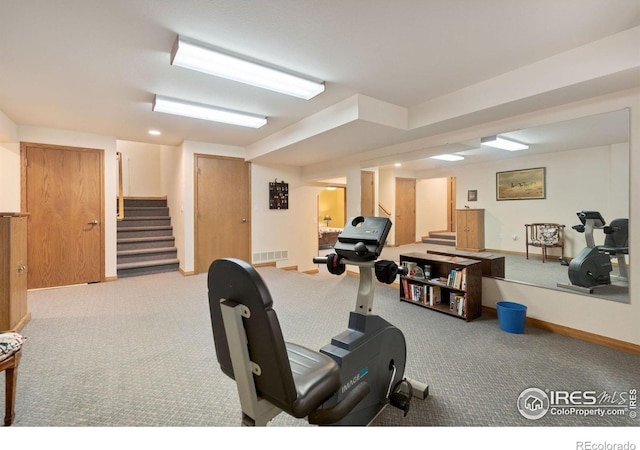 366 N Rim Rd, Livermore, CO 80536 - workout room with carpet and baseboards