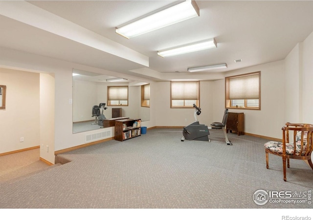 366 N Rim Rd, Livermore, CO 80536 - living area with carpet flooring