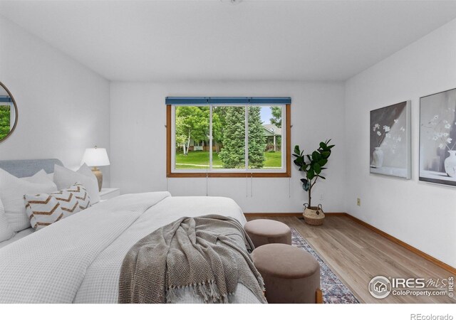 1922 15th Ave, Longmont, CO 80501