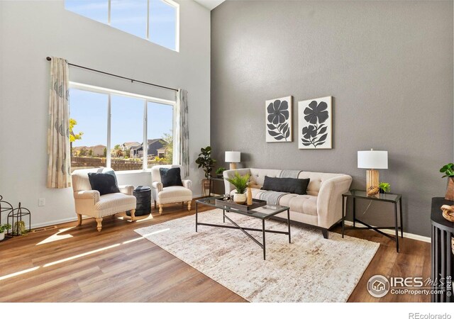 7266 Andover St, Wellington, CO 80549 - living room featuring wood finished floors and a high ceiling