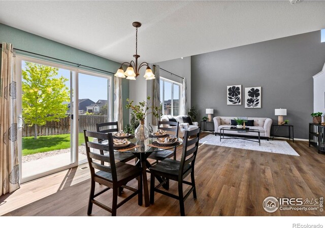 7266 Andover St, Wellington, CO 80549 - dining space featuring wood finished floors and a chandelier