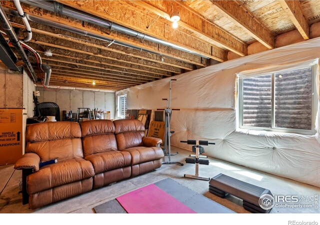 7266 Andover St, Wellington, CO 80549 - view of living area