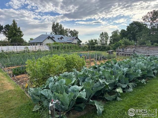 9445 Lykins Pl, Boulder, CO 80301 - view of yard with a vegetable garden