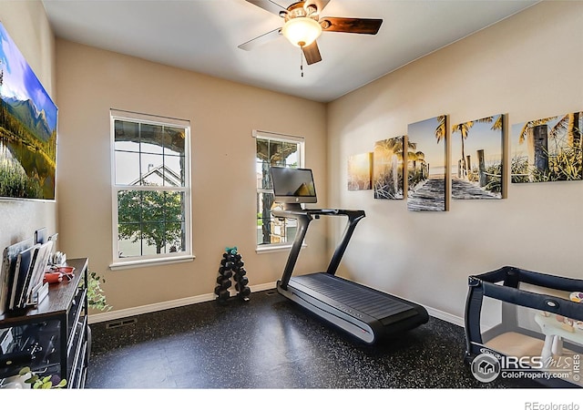 2050 Vineyard Dr, Windsor, CO 80550 - workout room featuring baseboards and ceiling fan