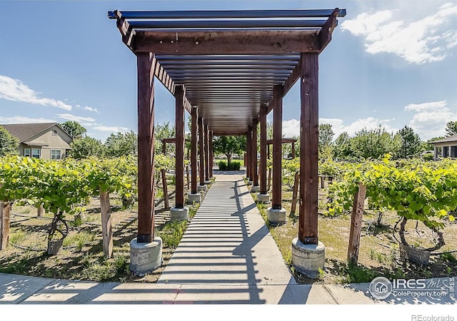 2050 Vineyard Dr, Windsor, CO 80550 - view of property's community