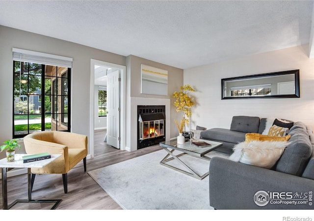4763 White Rock Cir Unit A, Boulder, CO 80301 - living area featuring wood finished floors, plenty of natural light, a textured ceiling, and a glass covered fireplace