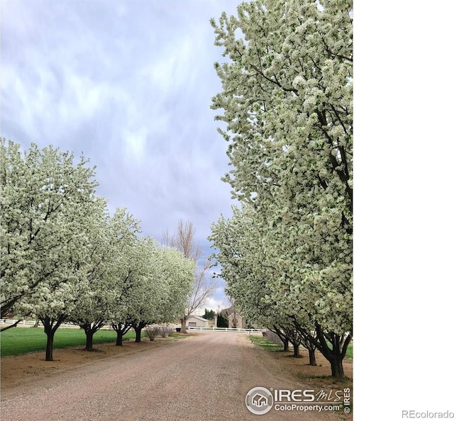 8943 Gander Valley Ln, Windsor, CO 80550 - view of road