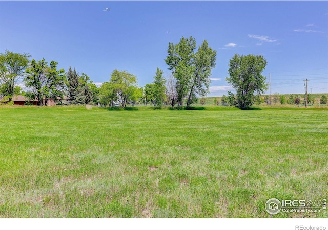 8943 Gander Valley Ln, Windsor, CO 80550 - view of grassy yard