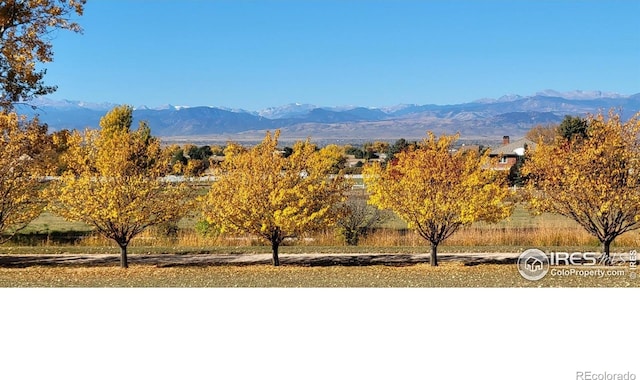 8943 Gander Valley Ln, Windsor, CO 80550 - view of mountain background