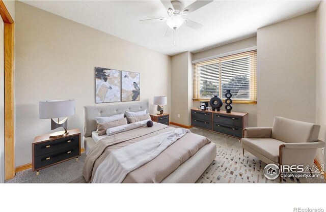 123 N 49th Avenue Pl, Greeley, CO 80634 - photo 21