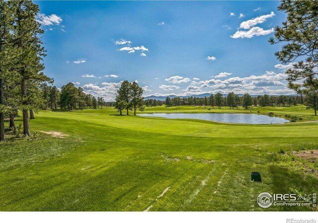 2415 Fox Acres Dr E, Red Feather Lakes, CO 80545 - photo 3