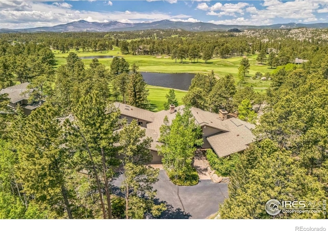 2415 Fox Acres Dr E, Red Feather Lakes, CO 80545 - photo 4