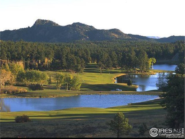 2415 Fox Acres Dr E, Red Feather Lakes, CO 80545 - photo 40