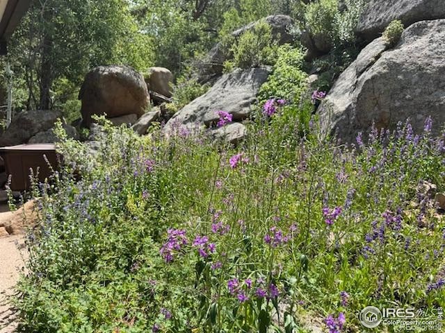 2415 Fox Acres Dr E, Red Feather Lakes, CO 80545 - photo 38