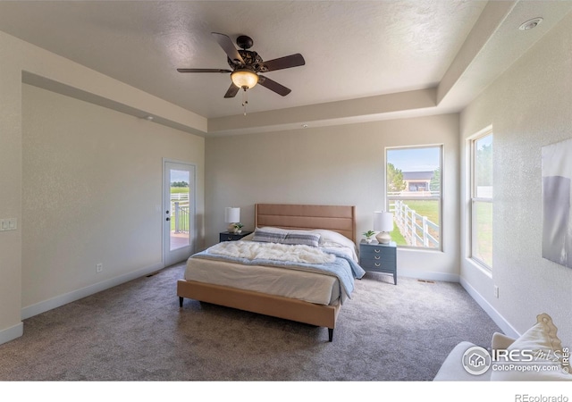 5217 Dry Creek Rd, Evans, CO 80634 - bedroom with access to exterior, carpet, and multiple windows