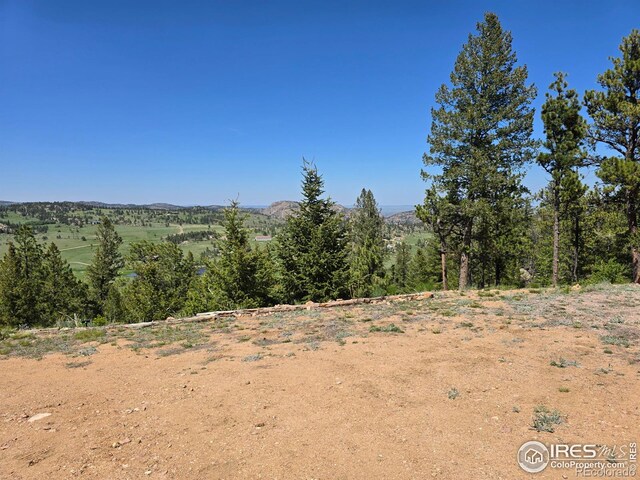 2587 Green Mountain Dr, Livermore, CO 80536 - photo 11