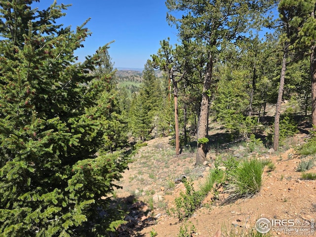 2587 Green Mountain Dr, Livermore, CO 80536 - photo 12