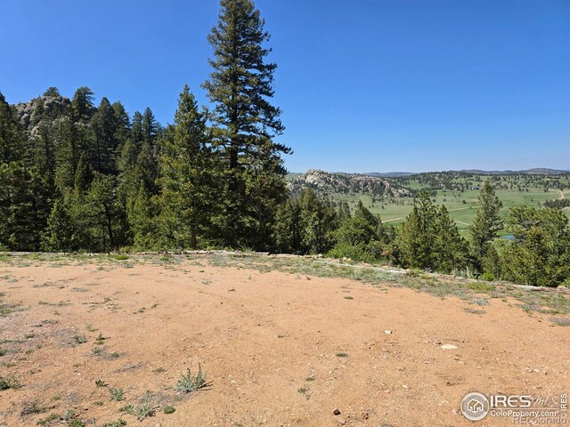 2587 Green Mountain Dr, Livermore, CO 80536 - photo 13
