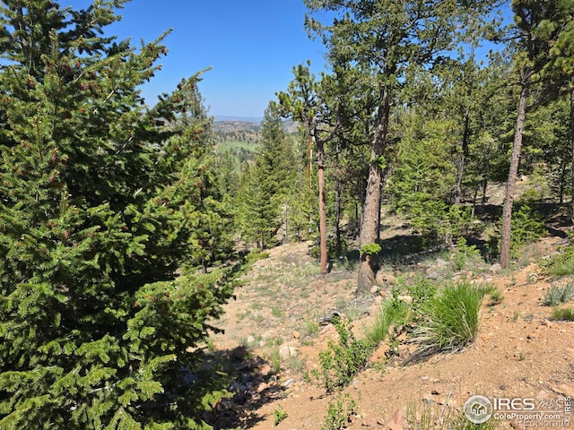 2587 Green Mountain Dr, Livermore, CO 80536 - photo 14