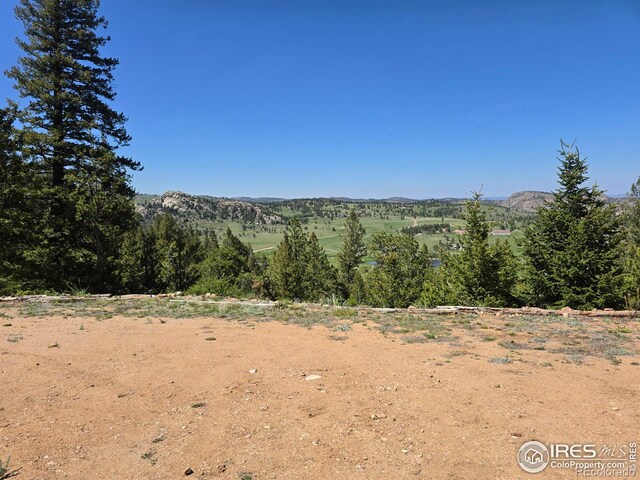 2587 Green Mountain Dr, Livermore, CO 80536 - photo 15