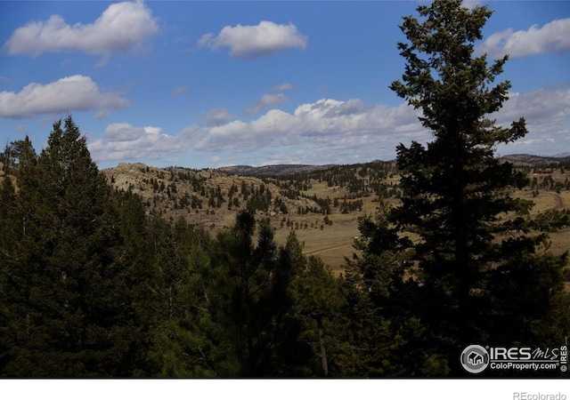 2587 Green Mountain Dr, Livermore, CO 80536 - photo 18