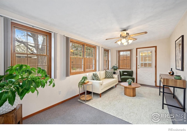 2001 Cameo Ave, Loveland, CO 80538 - photo 16