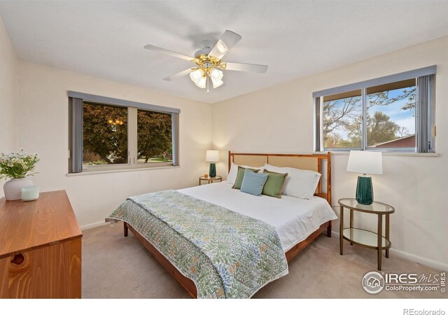 2001 Cameo Ave, Loveland, CO 80538 - photo 22