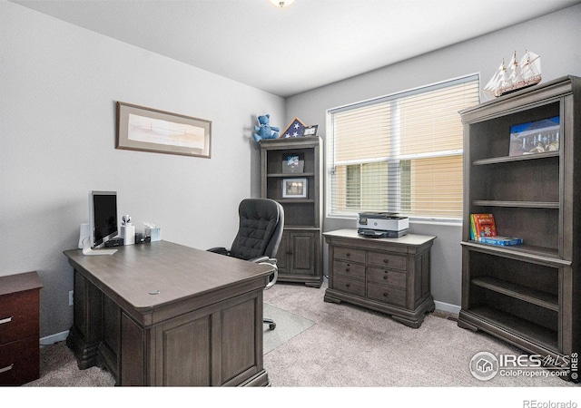 973 Mt Andrew Dr, Severance, CO 80550 - office with light carpet