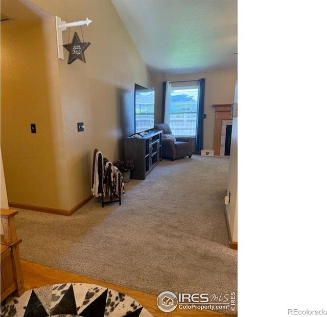 220 N 49th Avenue Ct, Greeley, CO 80634 - photo 6