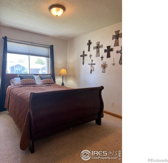 220 N 49th Avenue Ct, Greeley, CO 80634 - photo 8