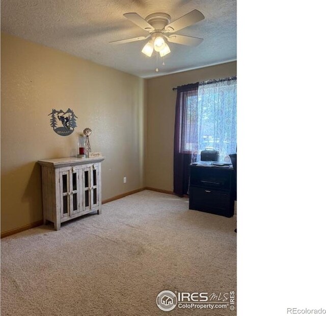 220 N 49th Avenue Ct, Greeley, CO 80634 - photo 9