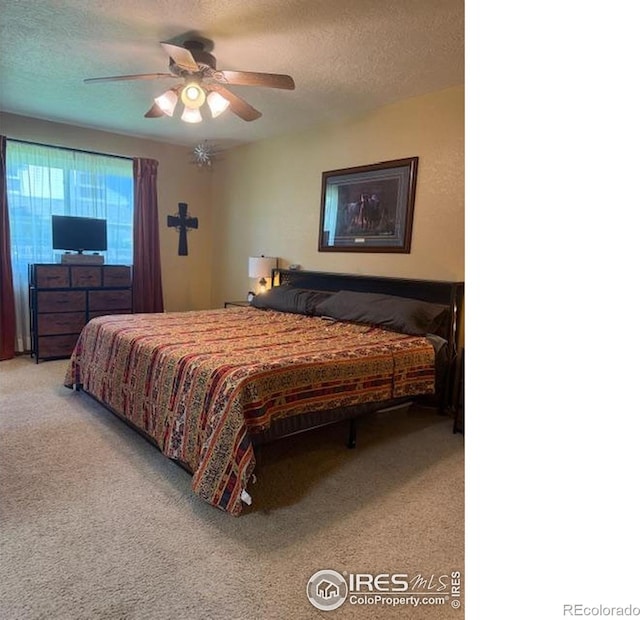220 N 49th Avenue Ct, Greeley, CO 80634 - photo 11
