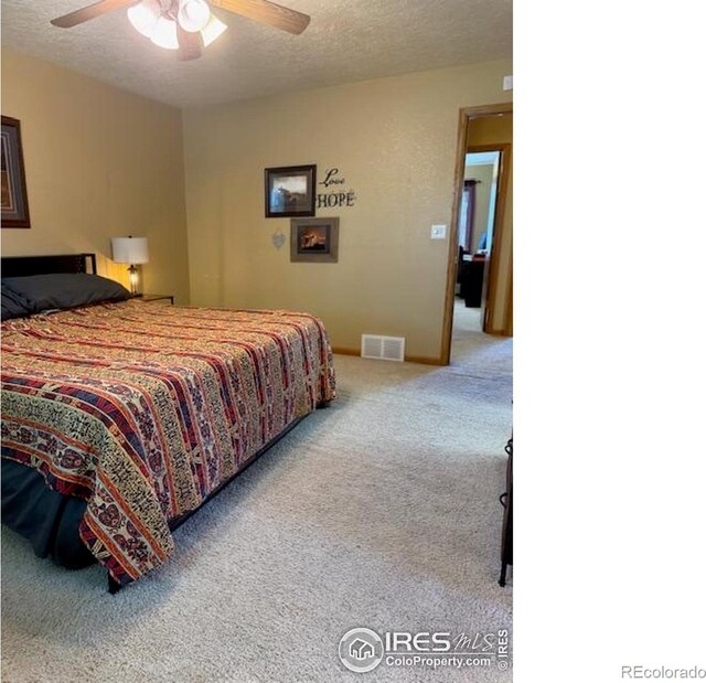 220 N 49th Avenue Ct, Greeley, CO 80634 - photo 12