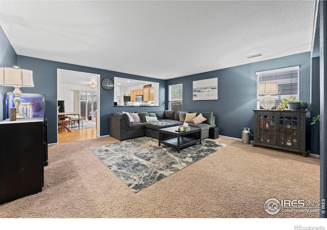 858 Turpin Way, Erie, CO 80516 - living room featuring carpet flooring