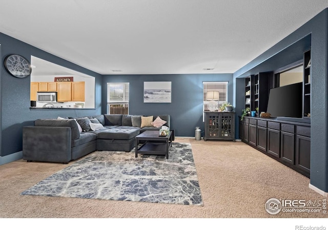 858 Turpin Way, Erie, CO 80516 - view of carpeted living area