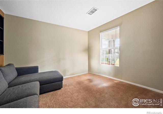 858 Turpin Way, Erie, CO 80516 - living area featuring carpet and a textured wall