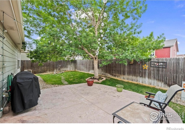 858 Turpin Way, Erie, CO 80516 - fenced backyard featuring area for grilling and a patio area