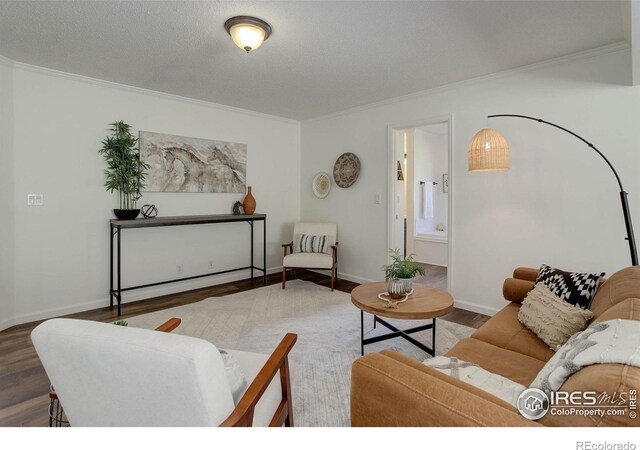 1553 Rowell Dr, Lyons, CO 80540 - photo 22