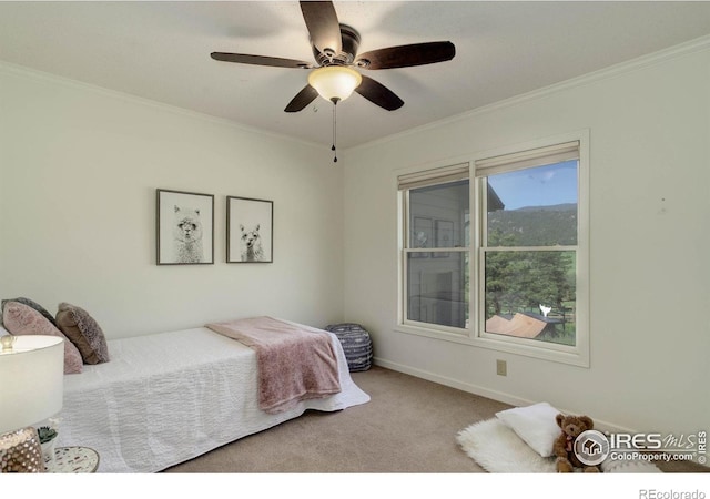 1553 Rowell Dr, Lyons, CO 80540 - photo 25