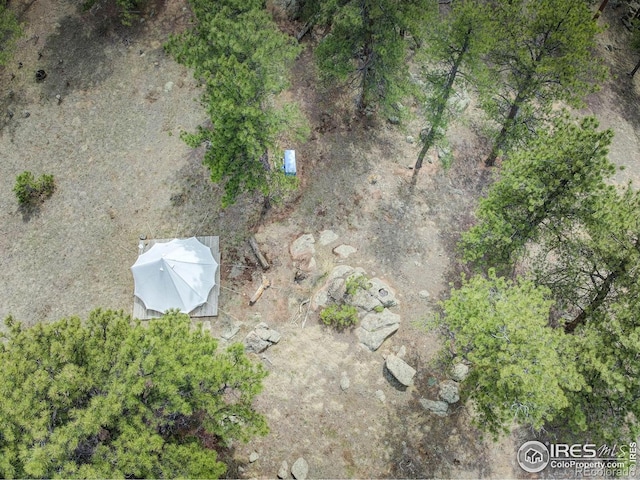 1553 Rowell Dr, Lyons, CO 80540 - photo 34
