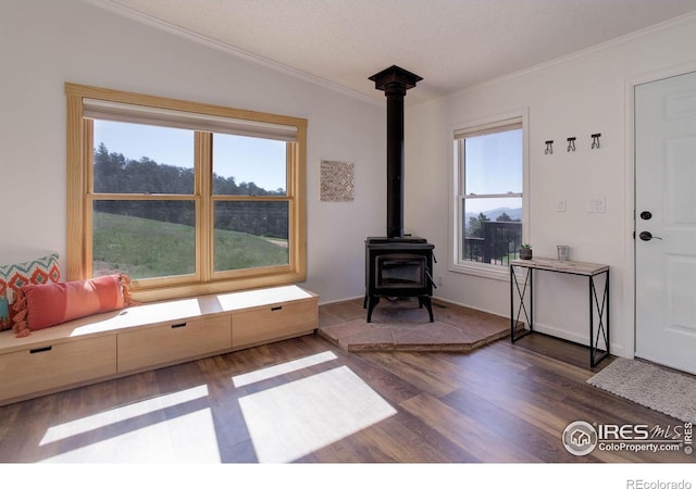 1553 Rowell Dr, Lyons, CO 80540 - photo 13