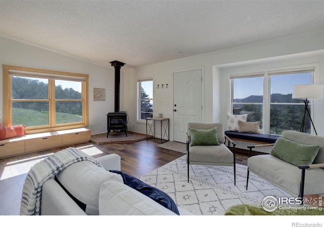 1553 Rowell Dr, Lyons, CO 80540 - photo 15