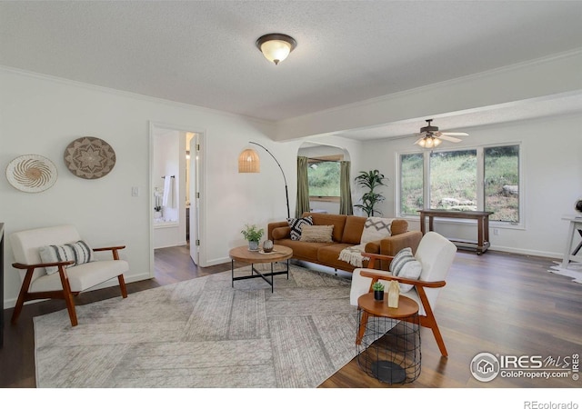 1553 Rowell Dr, Lyons, CO 80540 - photo 18