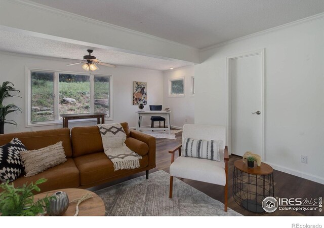 1553 Rowell Dr, Lyons, CO 80540 - photo 20