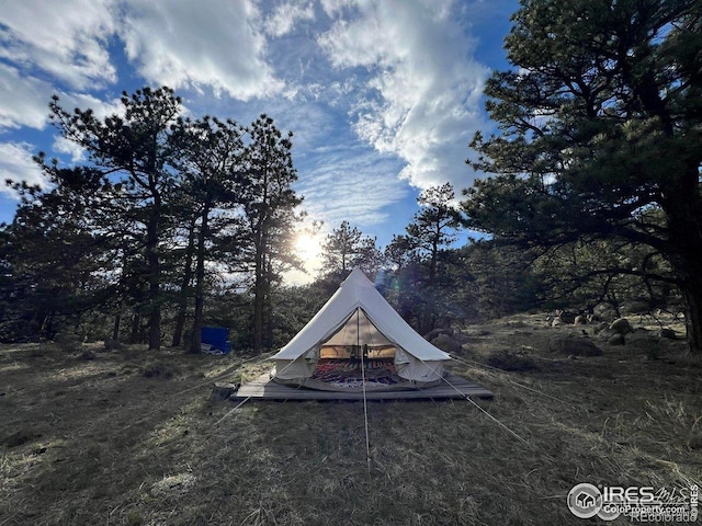 1553 Rowell Dr, Lyons, CO 80540 - photo 35