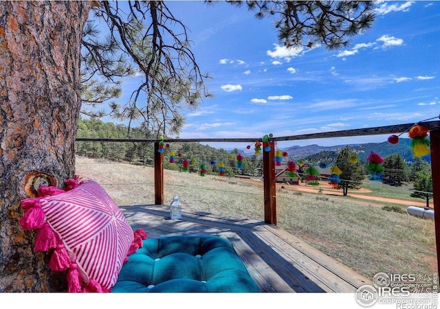 1553 Rowell Dr, Lyons, CO 80540 - photo 37