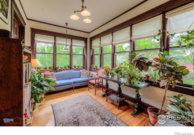 604 Mapleton Ave, Boulder, CO 80304 - photo 18